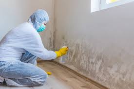 Best Emergency Mold Remediation  in Urbana, IA